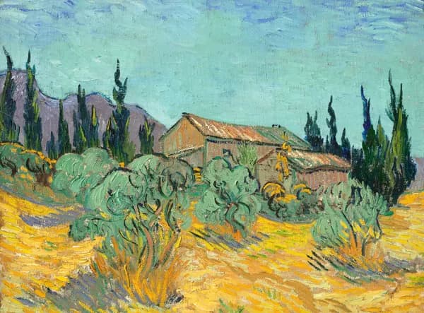 Van Gogh — Huts among Olive Trees and Cypresses
